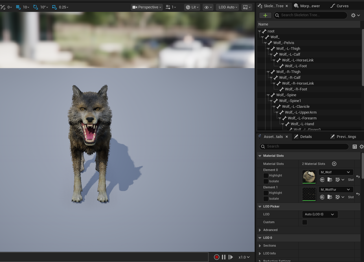 image-20251205032715438