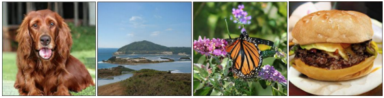 image-20260105010409074