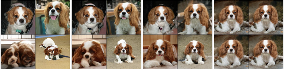 image-20260105010620435