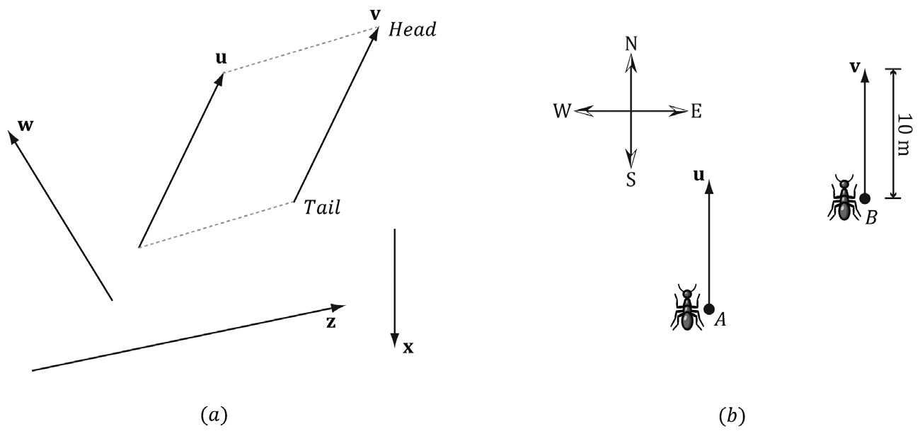 image-20260803194548293